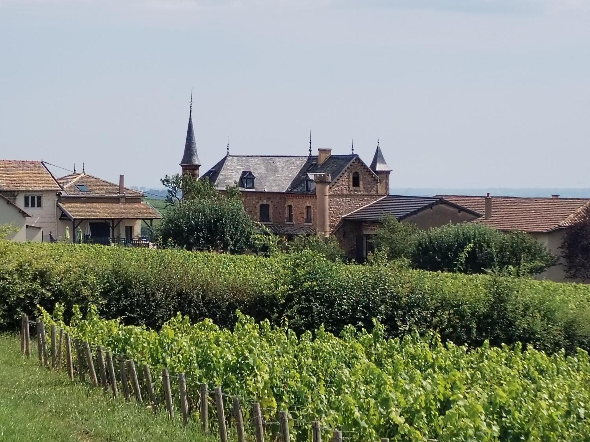 Le Petit Chateau De Sathonat - Horizon Paradis サン＝タムール＝ベルヴュ エクステリア 写真
